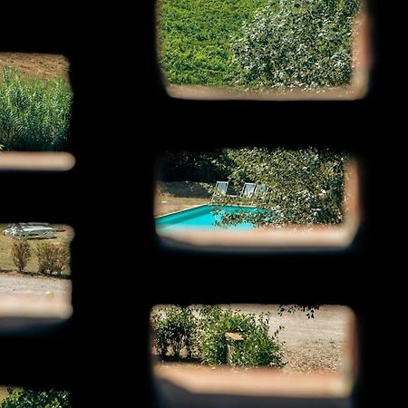 Fienile Panoramico Nel Chianti Βίλα Greve in Chianti Εξωτερικό φωτογραφία